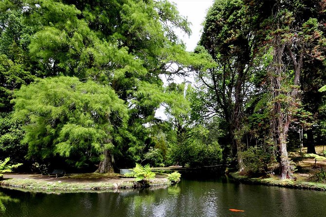 Furnas & Terra Nostra Botanic Park Tour w/Lunch + Hotsprings Bath - Relaxing in Terra Nostra Botanical Gardens