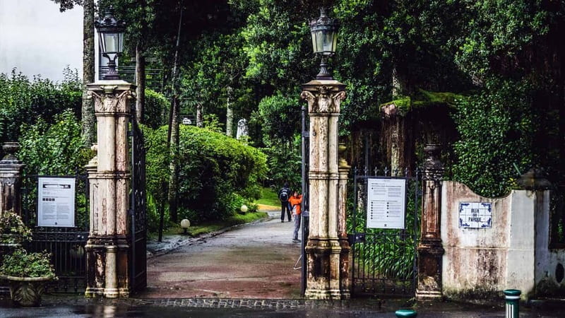 Furnas & Terra Nostra Gardens Biologist-guided Tour +lunch - The Experience of the Guide and Seasonality