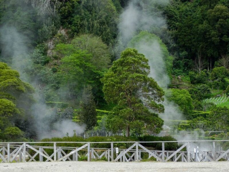 Furnas: Thermal Springs & Tea Plantation Day Tour with Lunch - Key Points