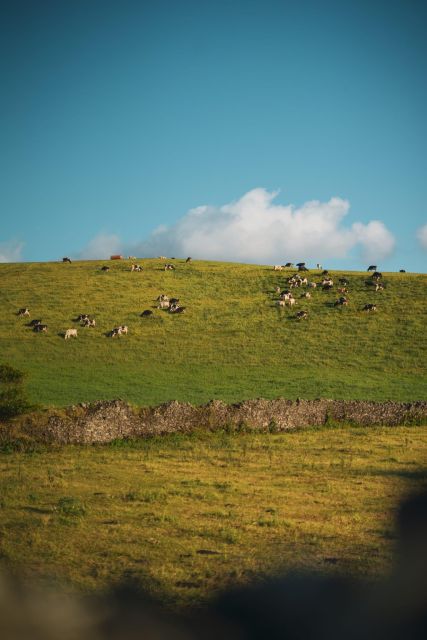 Furnas: Thermal Springs & Tea Plantation Day Tour with Lunch - Panoramic Views from Pico do Ferro Lookout