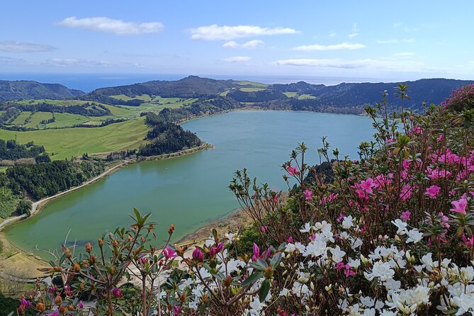 Furnas Vale, Gorreana Tea Factory Private Van Tour - Discover the Best of São Miguel with a Private Van Tour