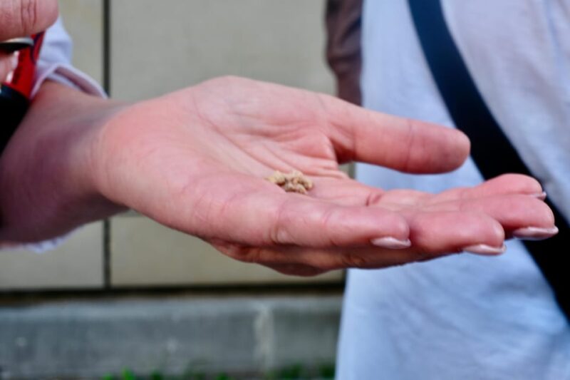 Fürth: Culinary and Historical Walking Tour - The Obstmarkt and Beim Liershof: Local Food Stops