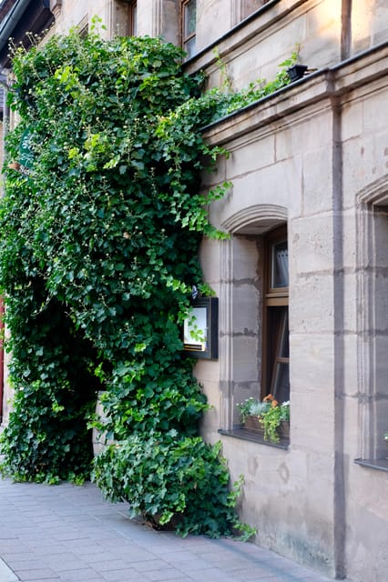 Fürth: Culinary and Historical Walking Tour - Practical Aspects of the Tour