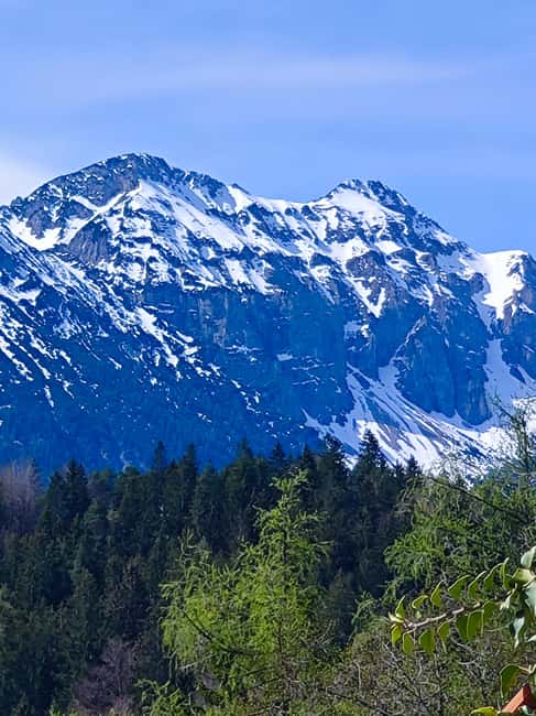 Füssen to Neuschwanstein Castle - Guided Scenic Tour - Comparing This Tour to Other Ways to Visit Neuschwanstein