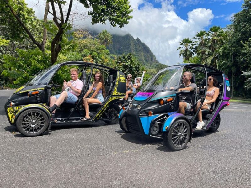 FUV Expedition: Your Epic Island Quest! - The Electric Vehicle Experience and Practical Considerations