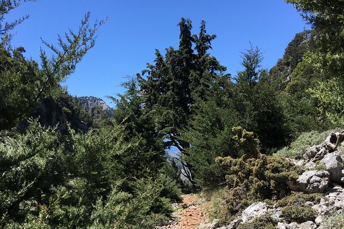 Fygou and Agia Irini Gorge Loop Half Day Hiking Tour - Logistics and Practical Information