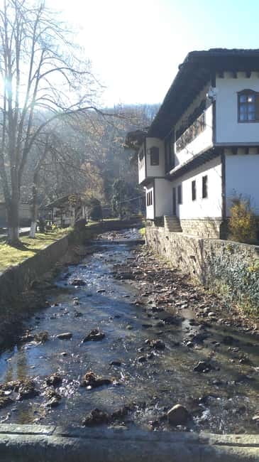 Gabrovo: Open Air Ethnographic Museum ETAR Entry Ticket - The Optional Guided Tour: A Deeper Dive into Bulgarian Traditions