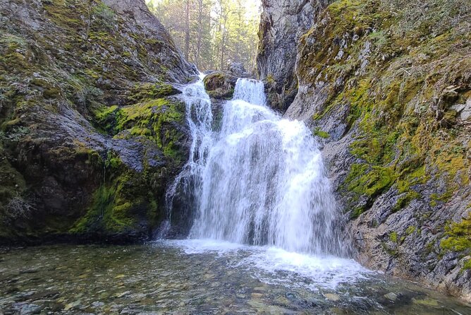 Galactic Origins Mount Shasta Tour - Flexibility and Additional Tour Options