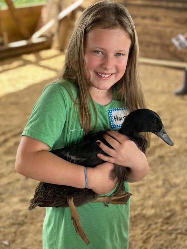 Galena Area: Berning Acres Family Dairy Farm Tour - Discover the Berning Acres Family Dairy Farm Tour in Illinois