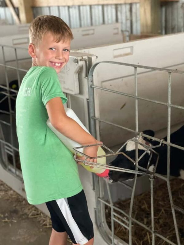 Galena Area: Berning Acres Family Dairy Farm Tour - The Milking Parlor: Witnessing the Modern Process