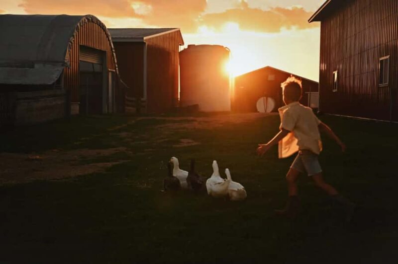 Galena Area: Berning Acres Family Dairy Farm Tour - Concluding at the Farm Shop with Ice Cream