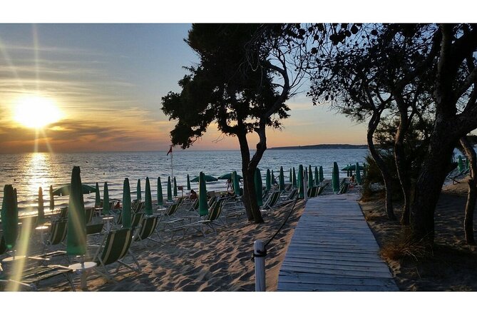 Gallipoli Full Day Private Tour: Coast, Beaches and Wineries - Discover Gallipoli’s Historic Center and Architectural Gems