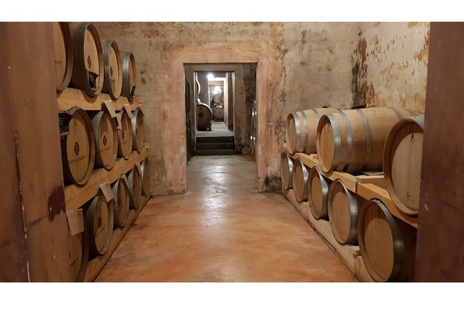 Gallipoli Full Day Private Tour: Coast, Beaches and Wineries - Delving into Gallipoli’s Old Town and Cultural Sights