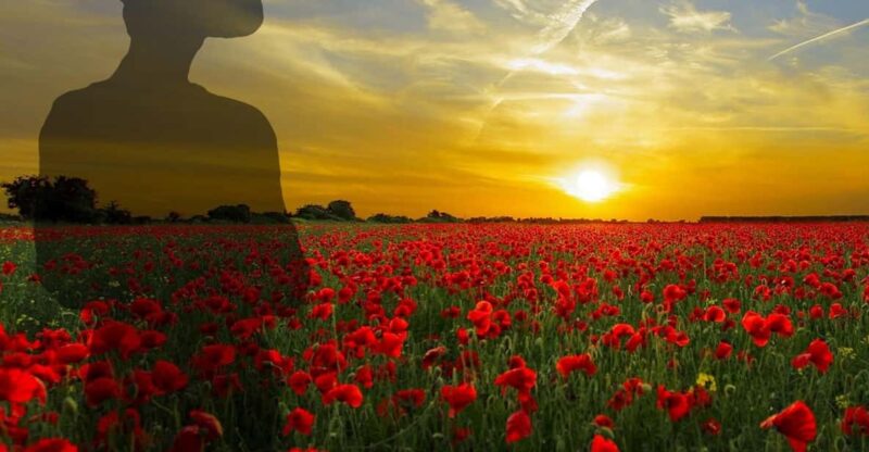 Gallipoli Full-Day Tour from Istanbul - Visiting the Battlefields of The Nek and Chunuk Bair