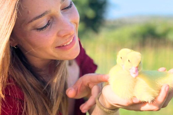Gallura Picnic in the Farm with Animals - Gallura Picnic in the Farm with Animals: A Warm Family Experience Near Olbia