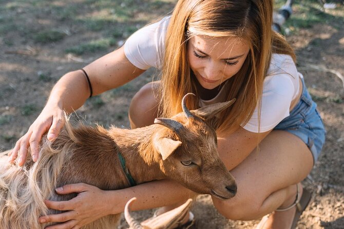 Gallura Picnic in the Farm with Animals - Cancellation Policies and Weather Considerations