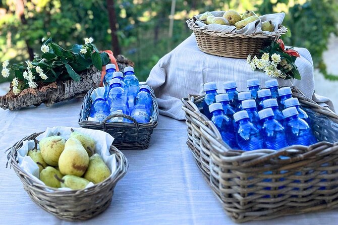 Gallura Picnic in the Farm with Animals - Who Will Love This Tour Most?