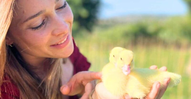 Gallura: Picnic on a Farm with Animals - Gallura: Picnic on a Farm with Animals — A Unique Sardinian Experience for Animal Lovers and Food Enthusiasts