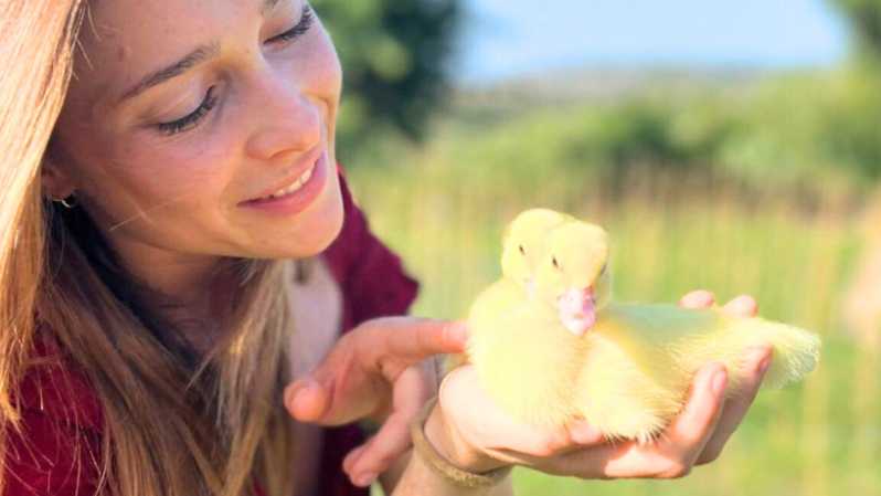 Gallura: Picnic on a Farm with Animals - Engaging with Rescued Animals: Who Youll Meet