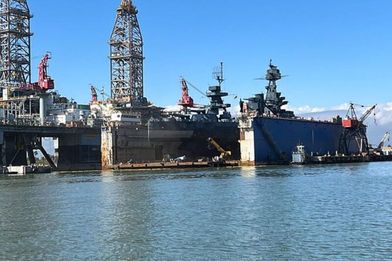 Galveston: Dolphin-Watching Cruise - The Atmosphere on Board