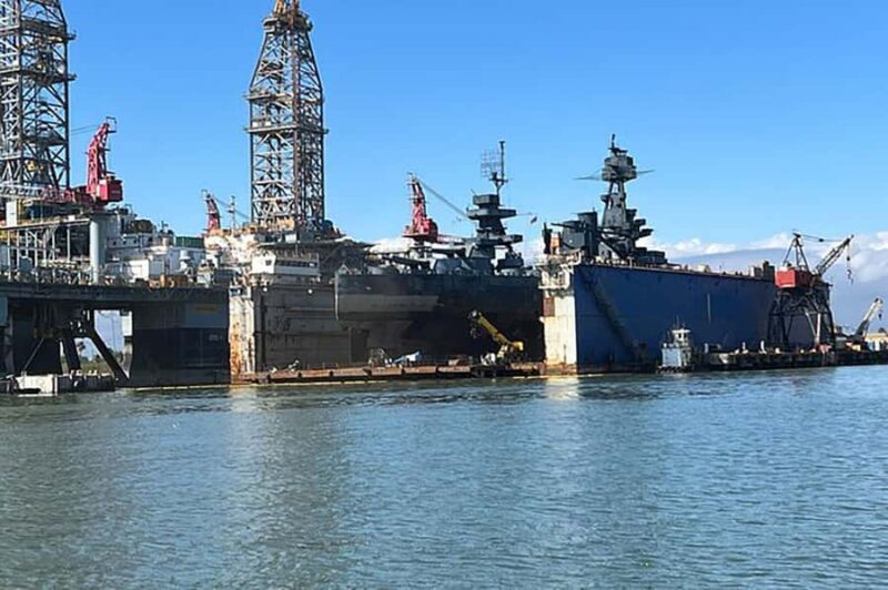 Galveston: Dolphin-Watching Cruise - Value for Money and Booking Options