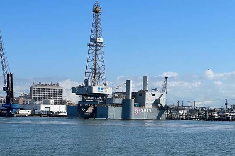 Galveston: Dolphin-Watching Cruise - Potential Considerations and Limitations