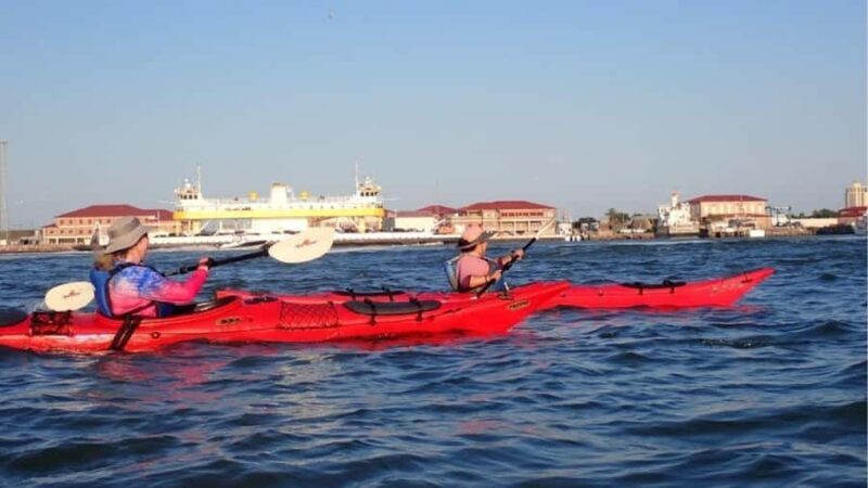 Galveston: Sea Kayaking Tour with Harbor Views - The Start: On-Land Safety Briefing and Gear Adjustment