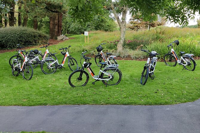 Galway City E-Bike Scavenger Hunt Game - Physical Demand and Pacing