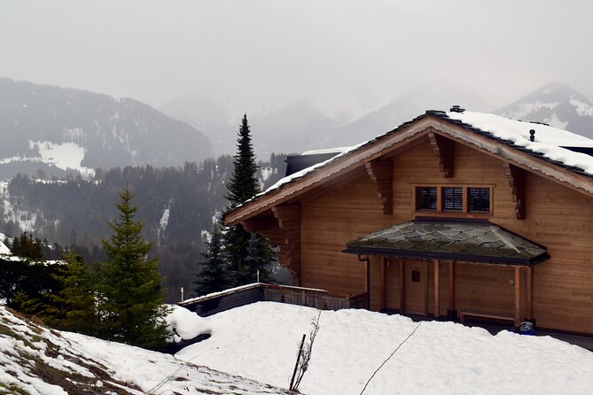 Galway Historic city Tour - 2.5hr Family & Friends Private groups - Key Points