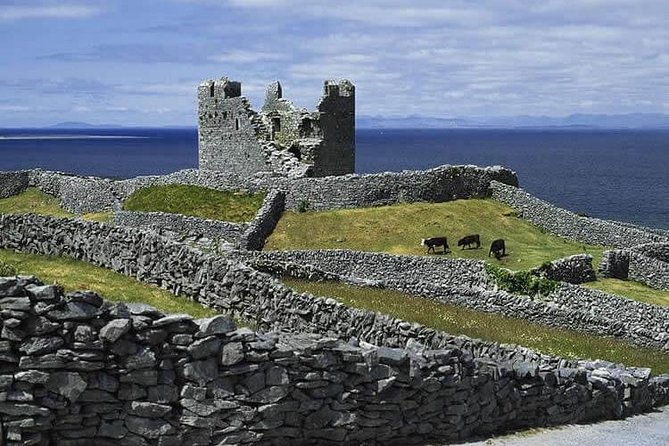 Galway to Aran Islands Inisheer, Doolin, Cliffs of Moher Day Tour - Value for Money and Overall Experience