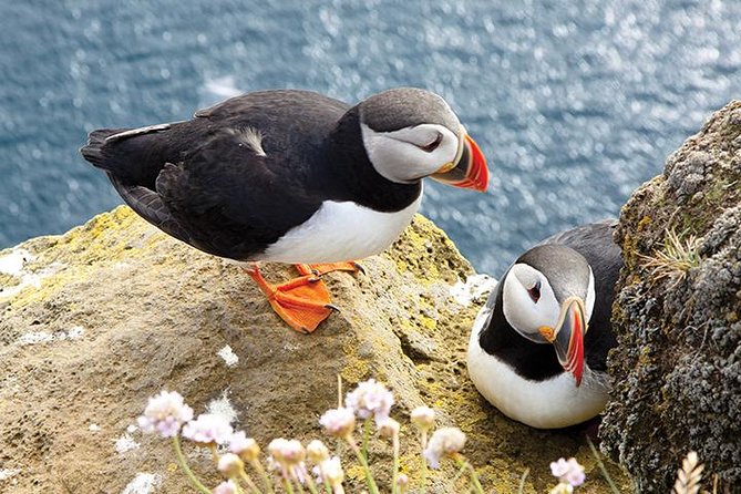 Galway to Cliffs of Moher, Aillwee Cave & Dunguaire Castle Tour - Doolin Village: Authentic Irish Lunch and Scenic Rest