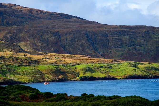 Galway to Connemara National Park Day Tour - Final Thoughts on the Galway to Connemara National Park Day Tour