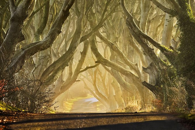 Game of Thrones - Private Audi A6 tour with Richard the Wildling - Logistics and Group Size Advantages