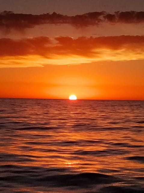 Gandía: Sea Cruise from Gandia with Sunset Option - Who Will Enjoy This Sea Cruise Most