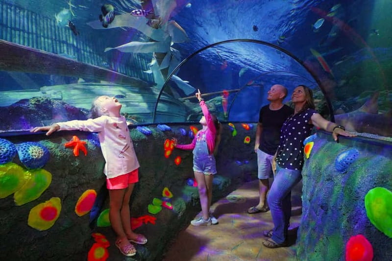 Gardaland SEA LIFE Aquarium: Open Date Entry Ticket - Key Points