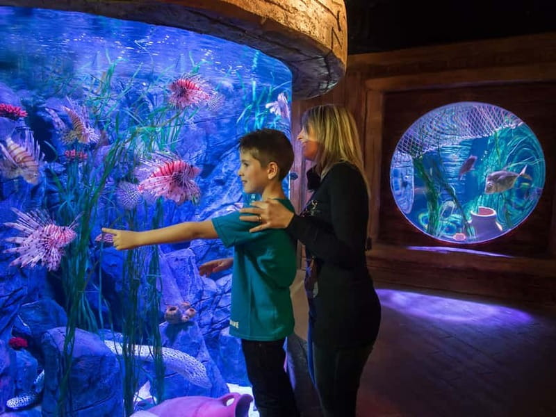 Gardaland SEA LIFE Aquarium: Open Date Entry Ticket - Crowd Levels and Waiting Times