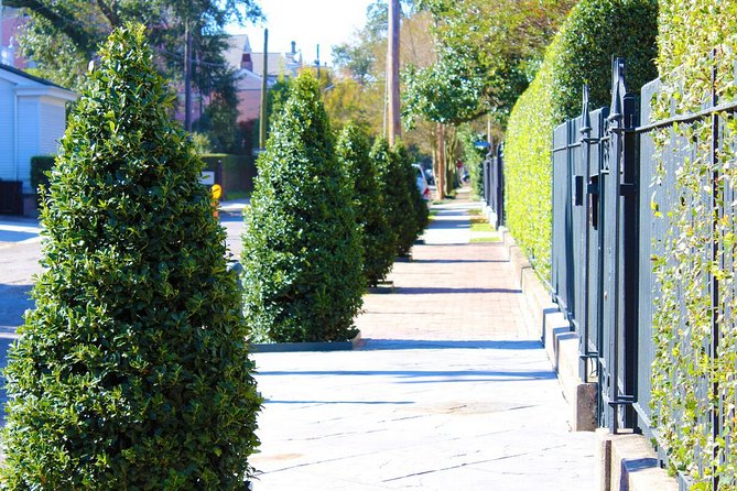 Garden District Walking Tour of New Orleans - Who Will Appreciate This Tour Most