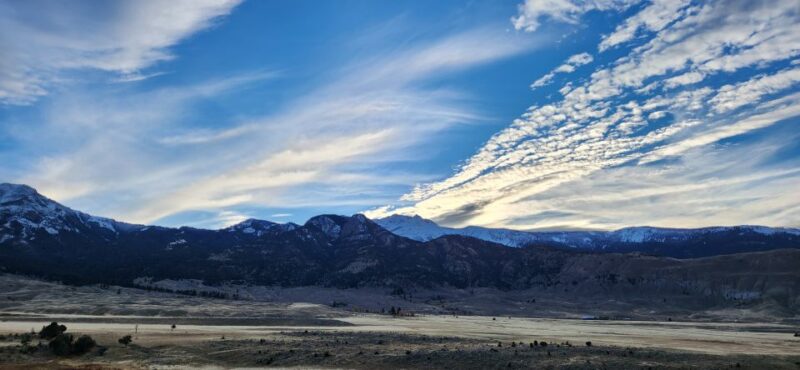 Gardiner: Yellowstone National Park Half Day Guided Hike - Wildlife Watching in Yellowstone’s Northern Range
