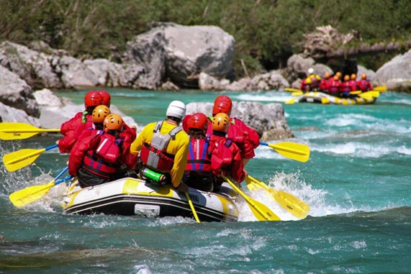 Gardiner: Yellowstone River Half-Day Whitewater Rafting - The Experience Provider: Wild West Rafting