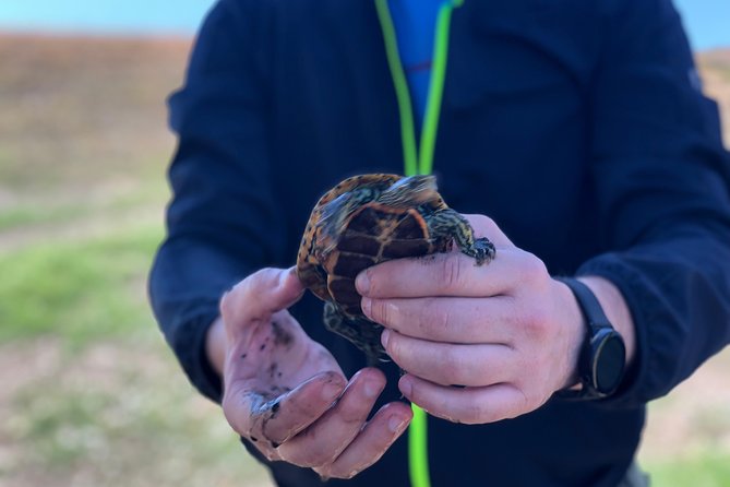 Gareja Sunrise Hike Tour from Tbilisi and Rainbow Hills Trail - Practical Details and Booking Information