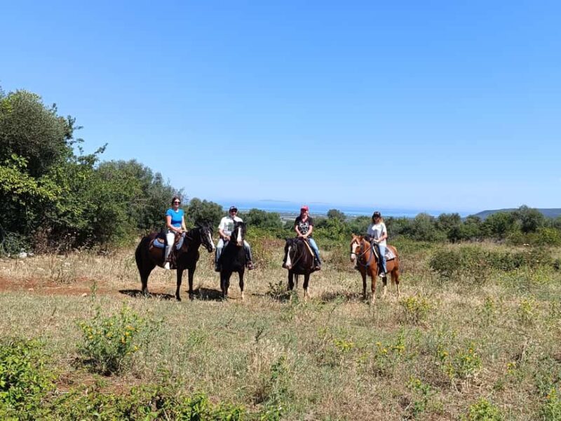 Gargano National Park: horseback riding - Discover the Beauty of Gargano National Park on Horseback