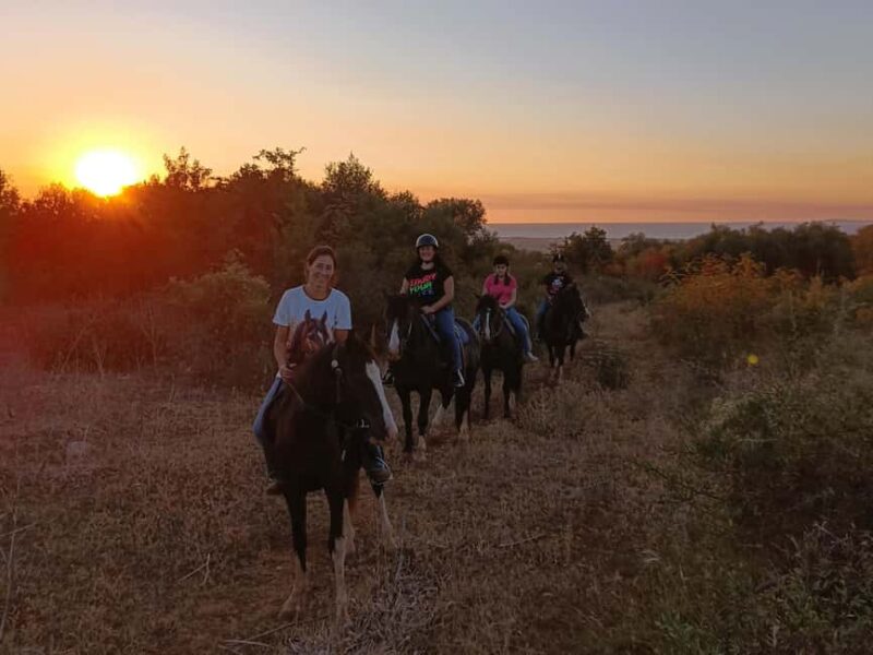Gargano National Park: horseback riding - What to Expect During the Horseback Ride in Gargano