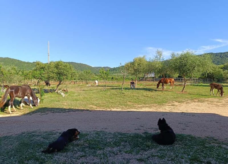 Gargano National Park: horseback riding - Scenic Views and Photo Opportunities in Gargano