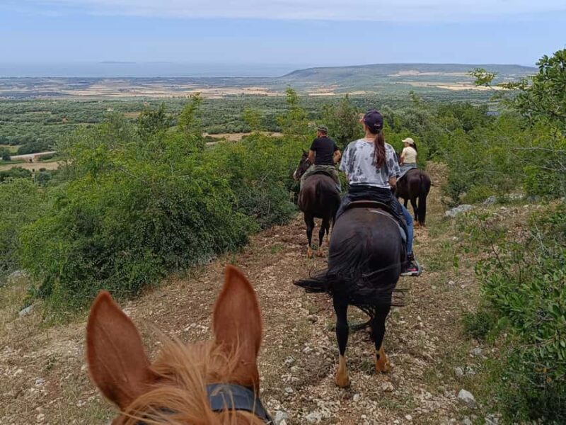 Gargano National Park: horseback riding - The Experience in Context: A Gentle Ride with Authentic Charm