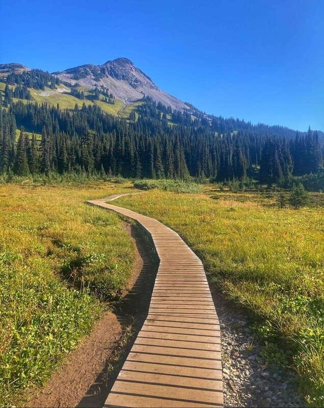 Garibaldi Park/ Panorama Ridge/ Hiking Day Trip - Key Points