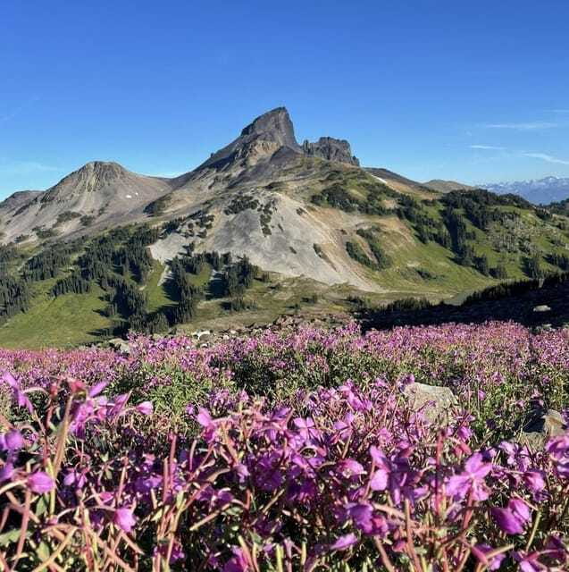Garibaldi Park/ Panorama Ridge/ Hiking Day Trip - The Sum Up: An Unparalleled Mountain Trek