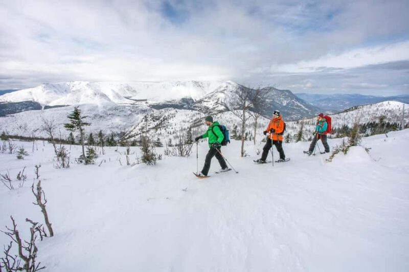 Gaspésie: National Park Entry Ticket with Snowshoe Rental - Discover Gaspésie National Park with Snowshoeing and Park Entry