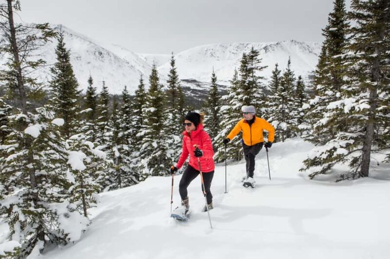 Gaspésie: National Park Entry Ticket with Snowshoe Rental - Easy Access from Sainte-Anne-des-Monts to Canada’s Natural Beauty