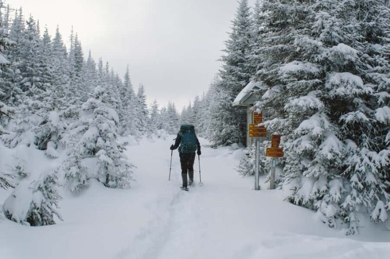 Gaspésie: National Park Entry Ticket with Snowshoe Rental - Practical Tips for a Successful Snowshoe Day