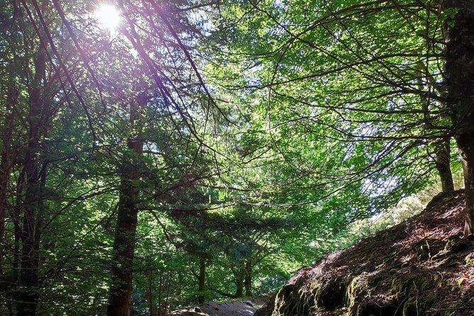 Gastro hike (Private Tour) - Key Points